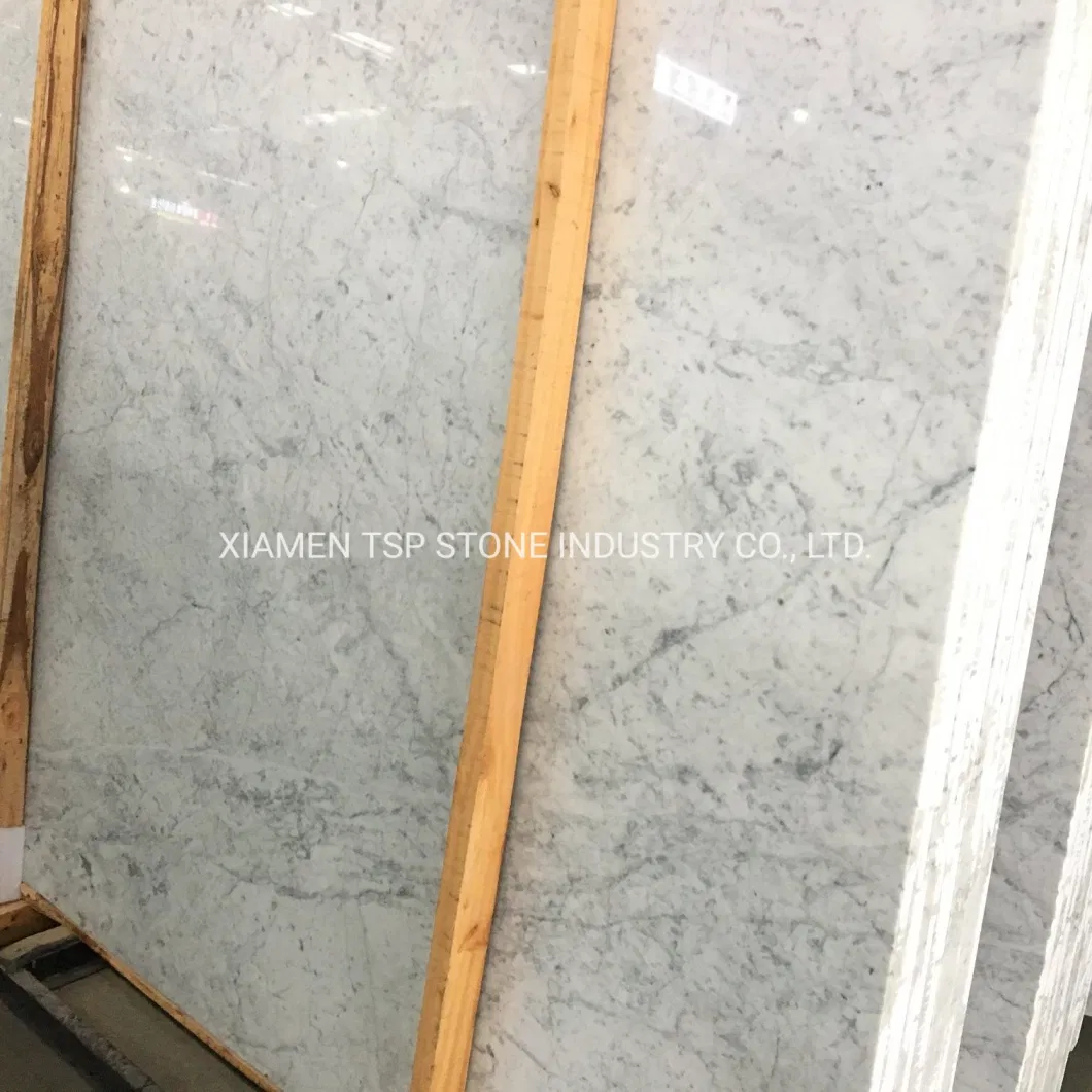 Selected Bianco Carrara White Marble Slab for Flooring/Floor/Bathroom Tile